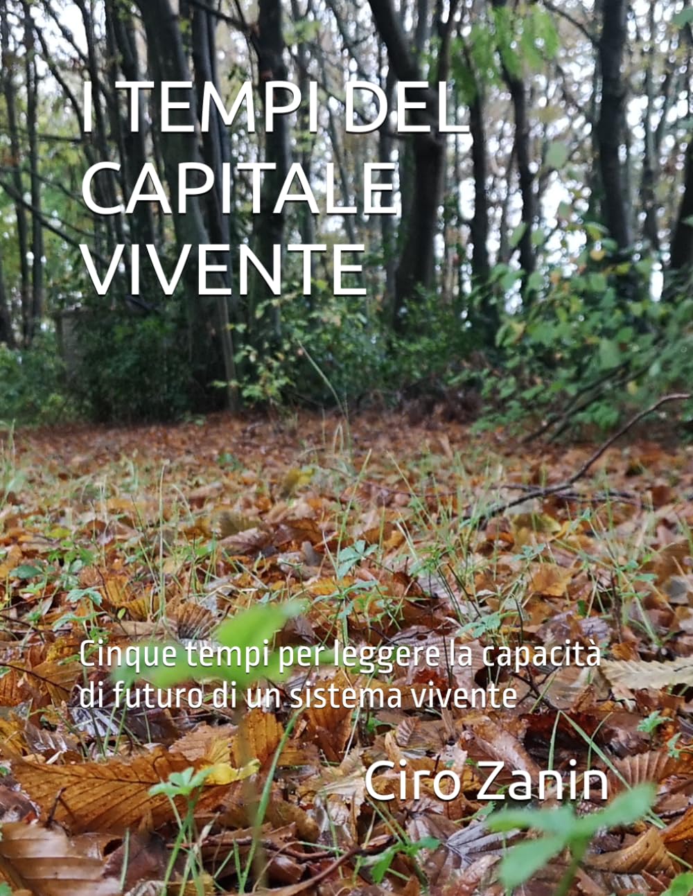 I TEMPI DEL CAPITALE VIVENTE: Cinque tempi per leggere la capacità di futuro di un sistema vivente