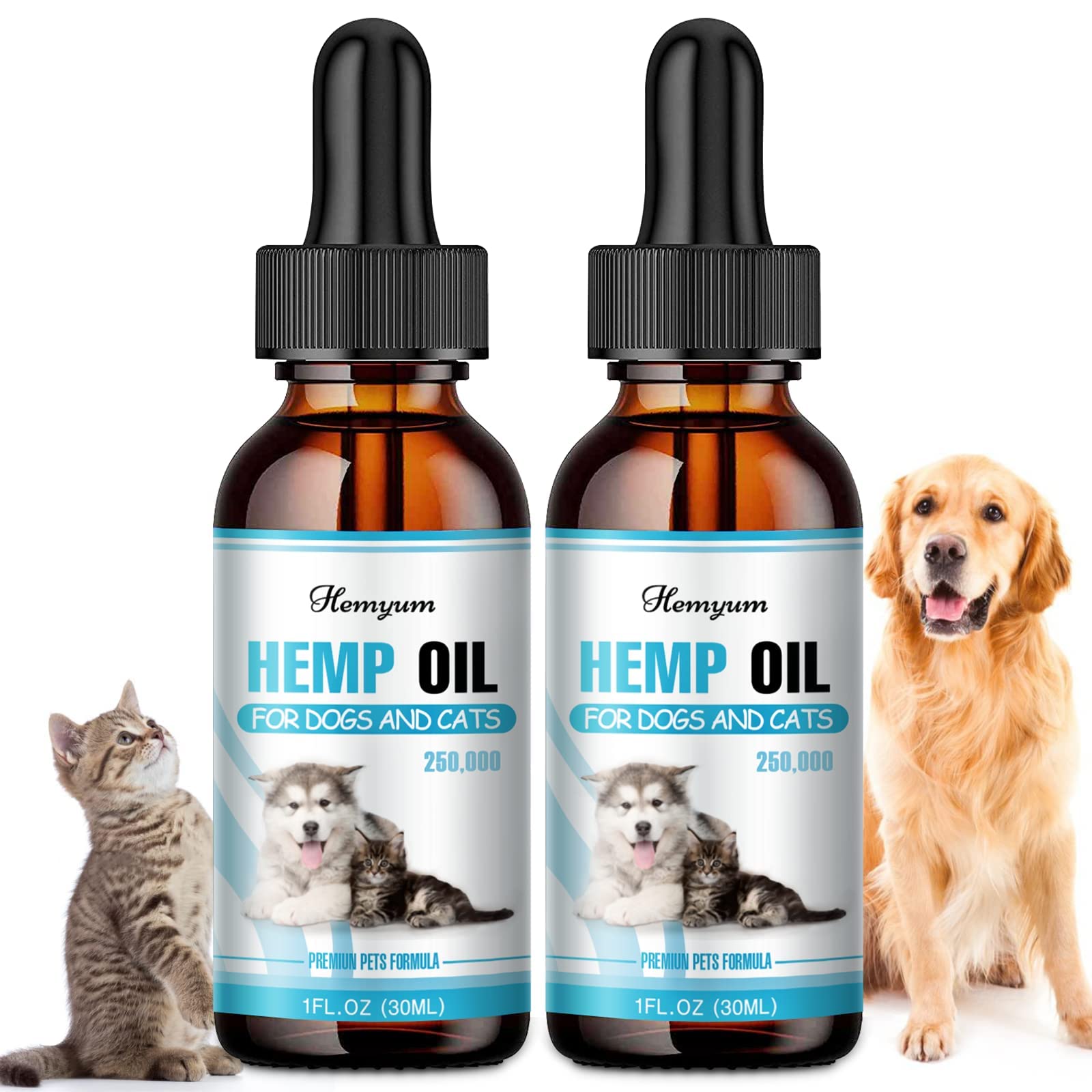 Can Allergies Cause Anxiety In Dogs