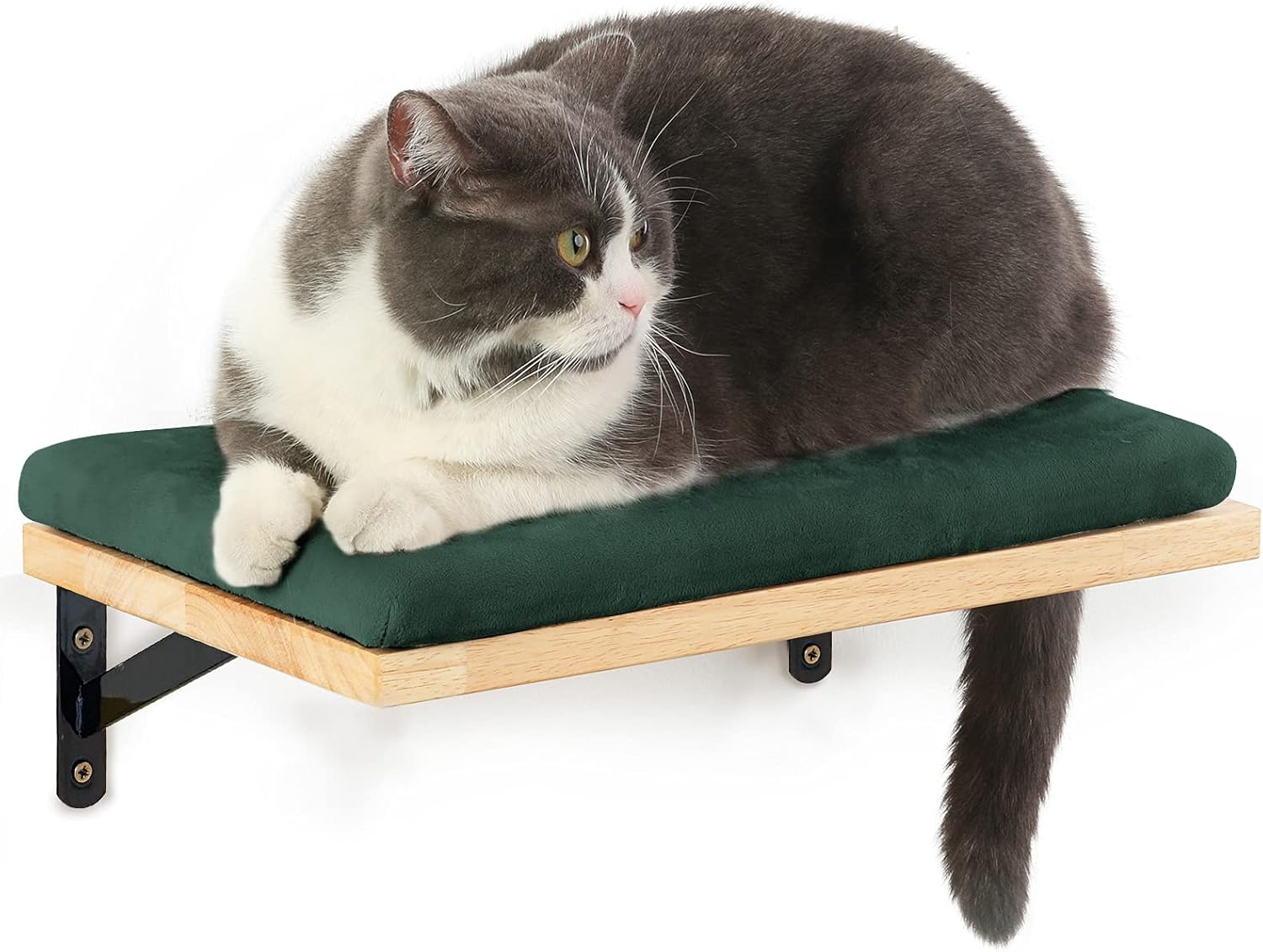 cat bed shelf