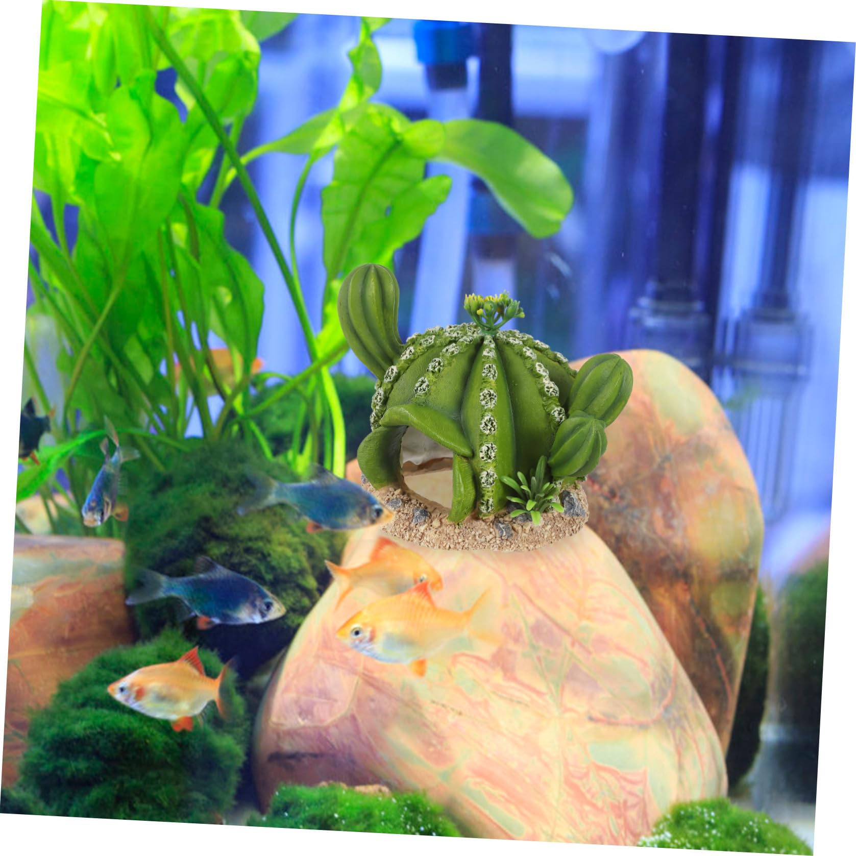 INOOMP 2 Pezzi Di Piante Di Rettili Decorazioni Per Cactus Nascondigli Per Rettili Accessori Per La Scatola Di Alimentazione