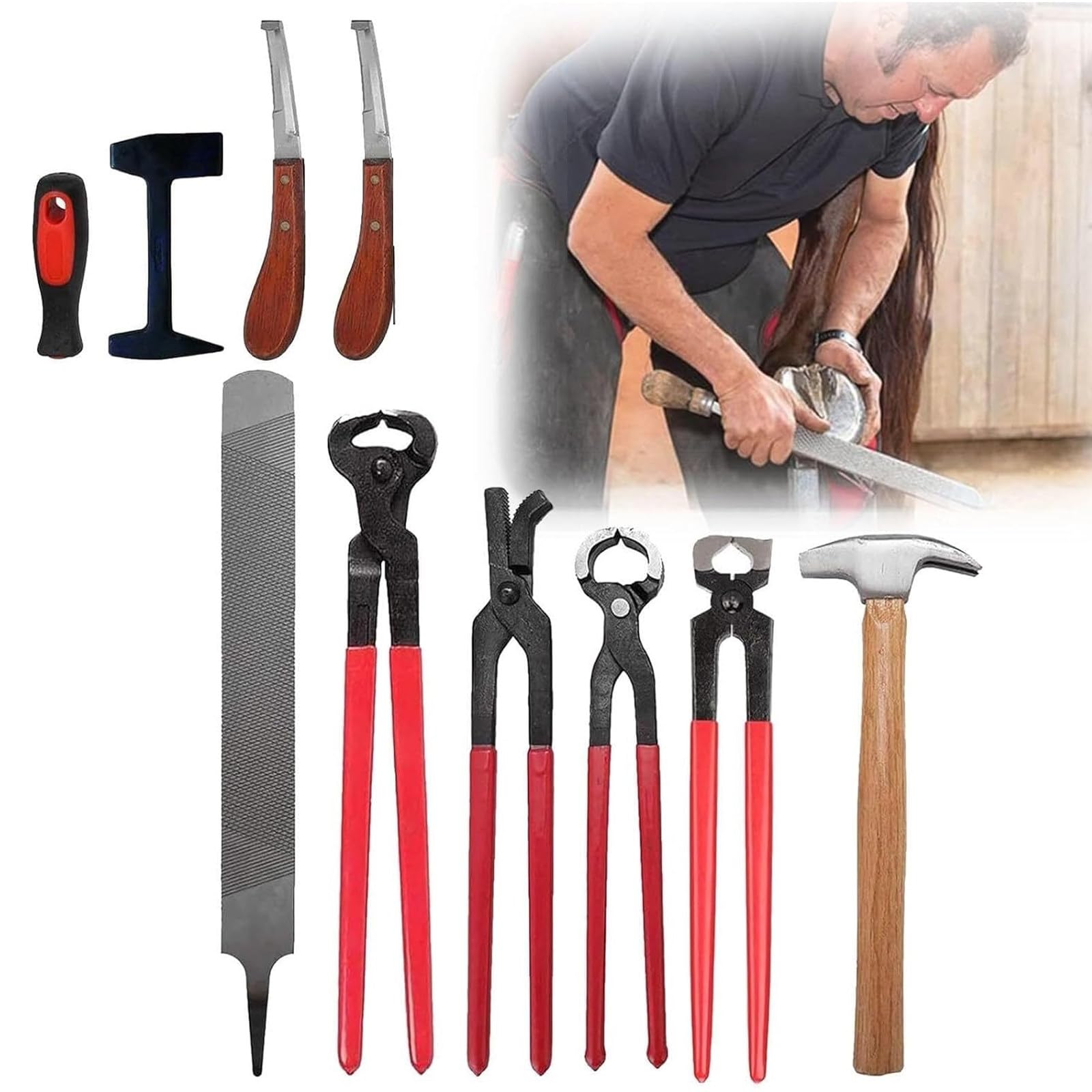 Kit de 9 Piezas para el Recorte de Cascos de Caballo | Corta-cascos, recortador de cascos, kit de cuidado de cascos para ganado vacuno, ovino, caballos, burros
