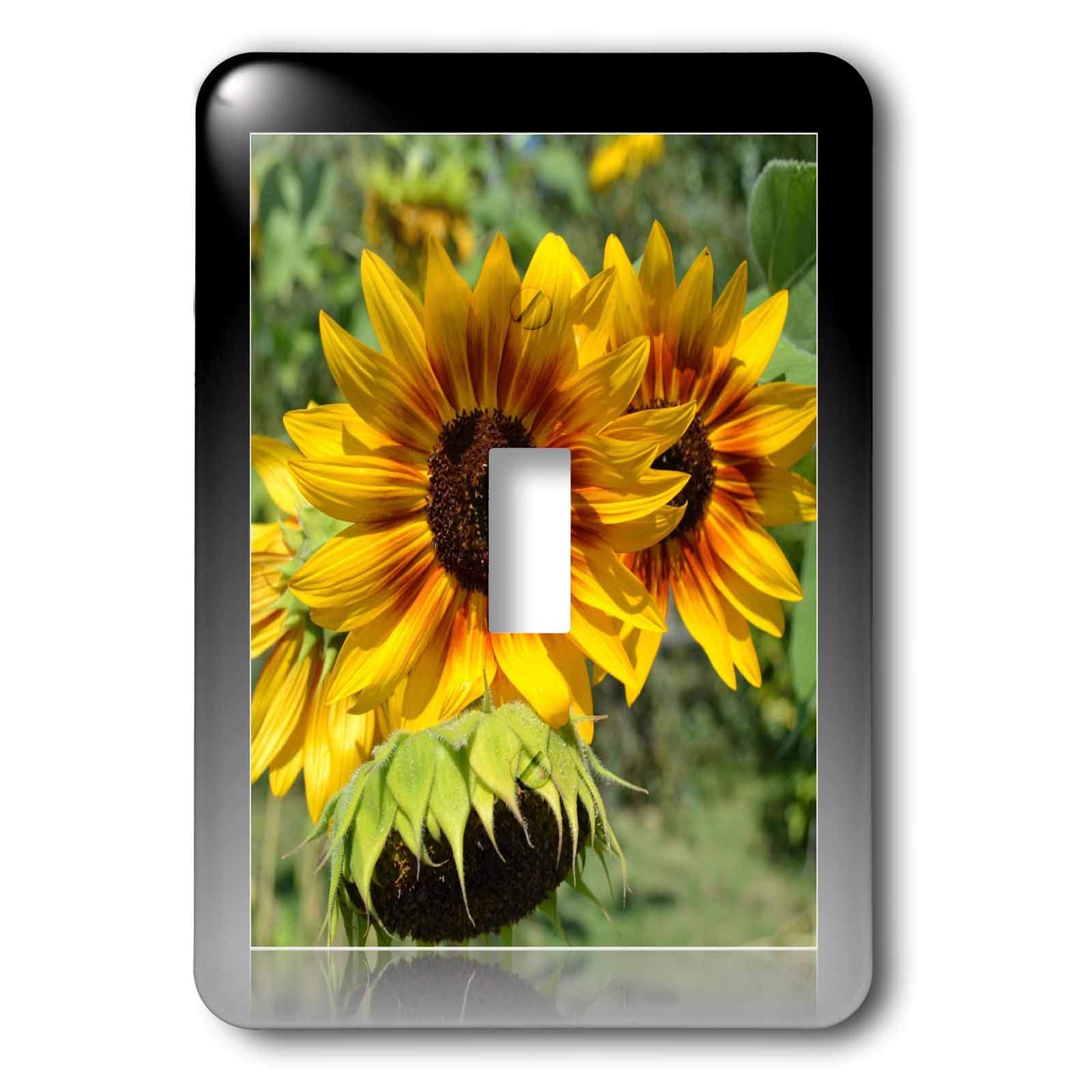 Interrupteur à bascule tournesols rouge jaune 3dRose lsp_33895_1 pour déco maison