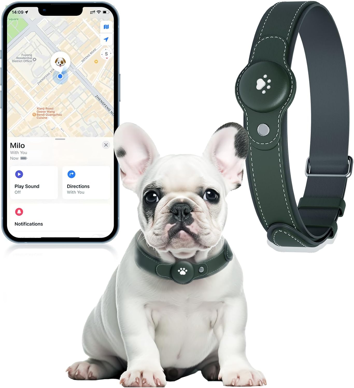 2-in-1 GPS Tracker for Dogs: Smart Collar with Real-Time Location