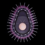 Dyson Airsmooth​ Brosse soufflante - Ceramic Pink/Rose Gold - 5
