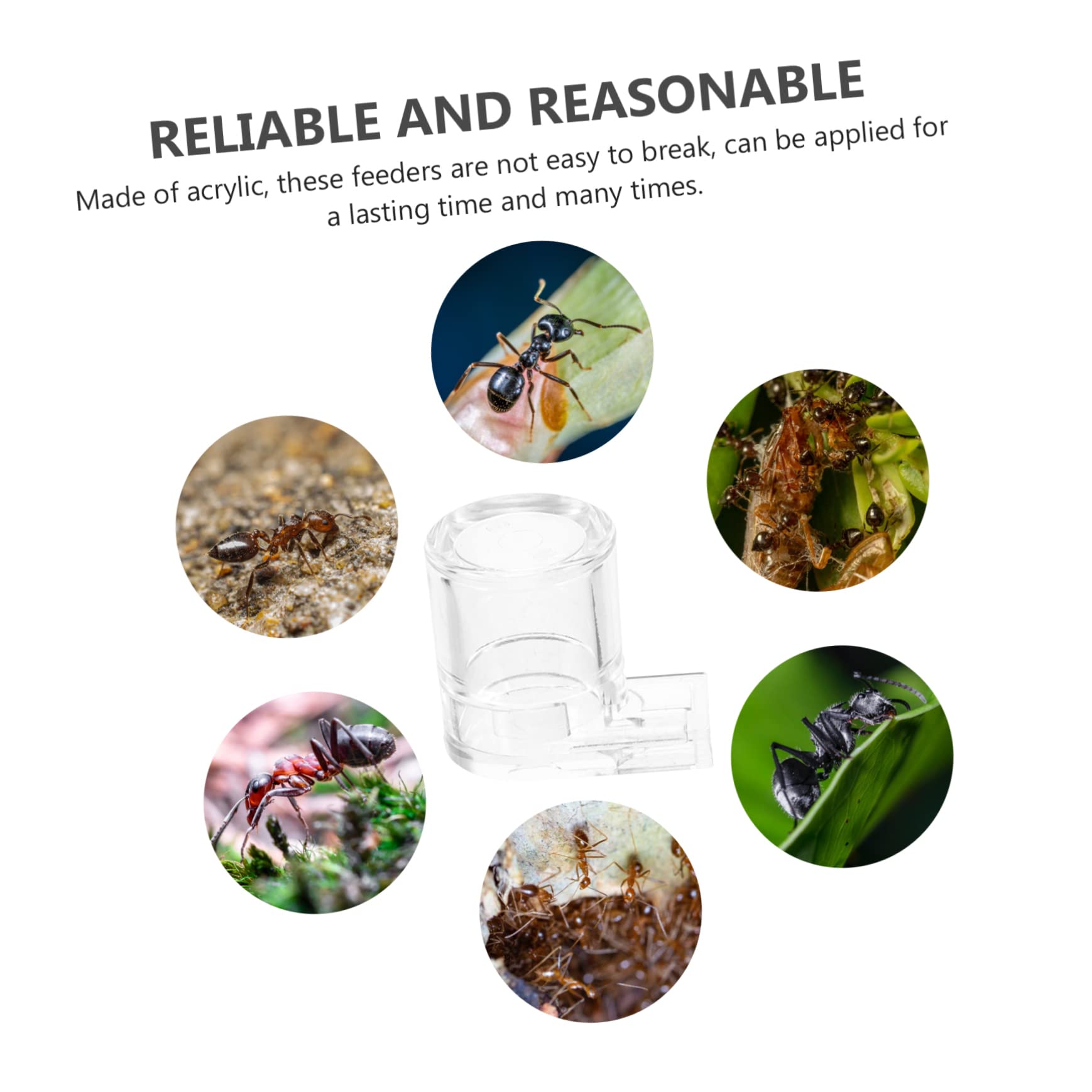 Dispenser Acqua Per Formiche In Acrilico - Da Appendere, 3x2x6.5cm, Per Formicai Domestici - Foto 14