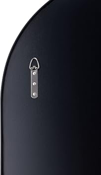 Varaluz Capsule Wall Mirror - 22 W x 40 H Mirror - Black