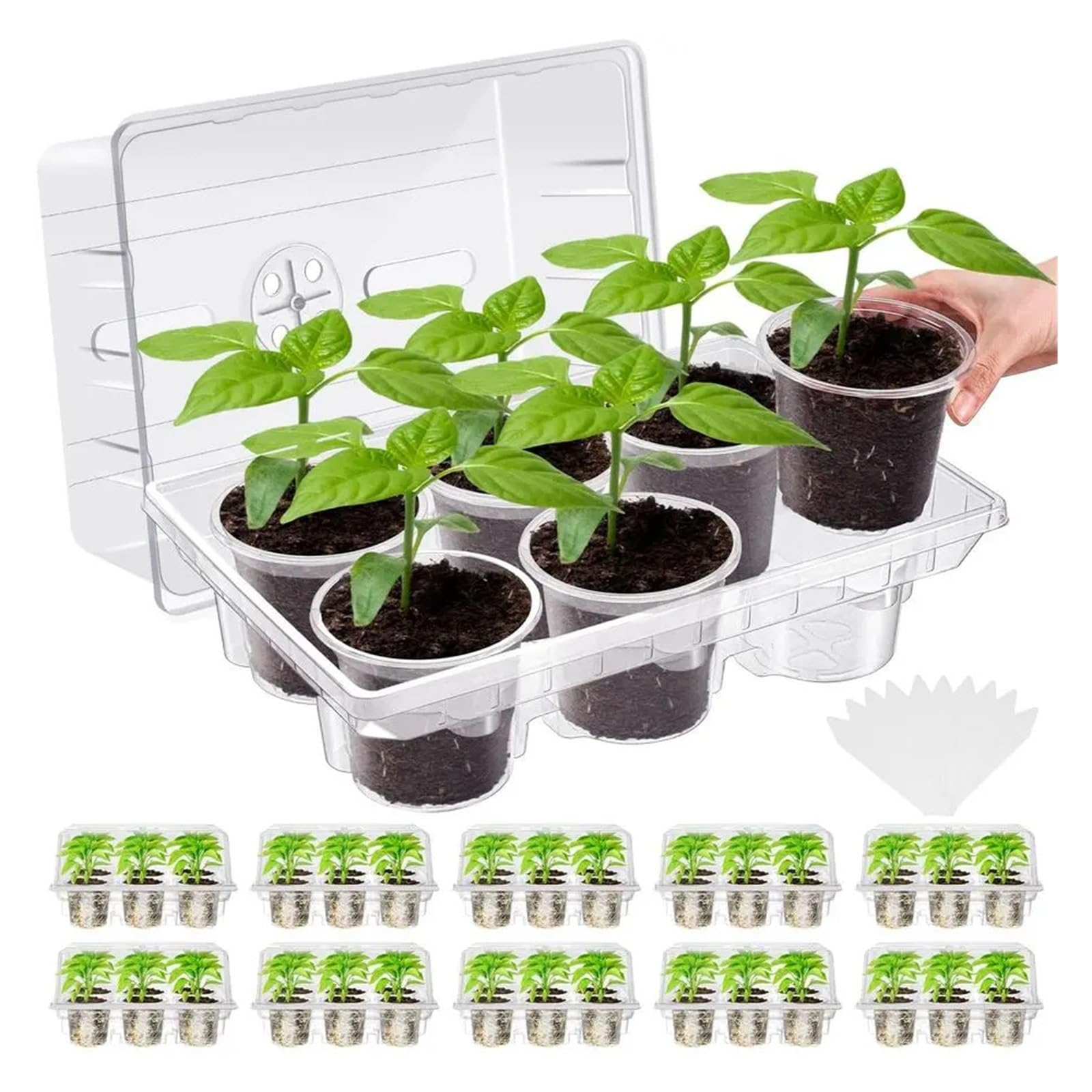 MFWHEFJ Seed Tray 10 Pack Seed Starter Tray Kit Seedling Trays With 60 Pcs 4 Inch Nursery Pots And Humidity Dome Cells Mini Greenhouse