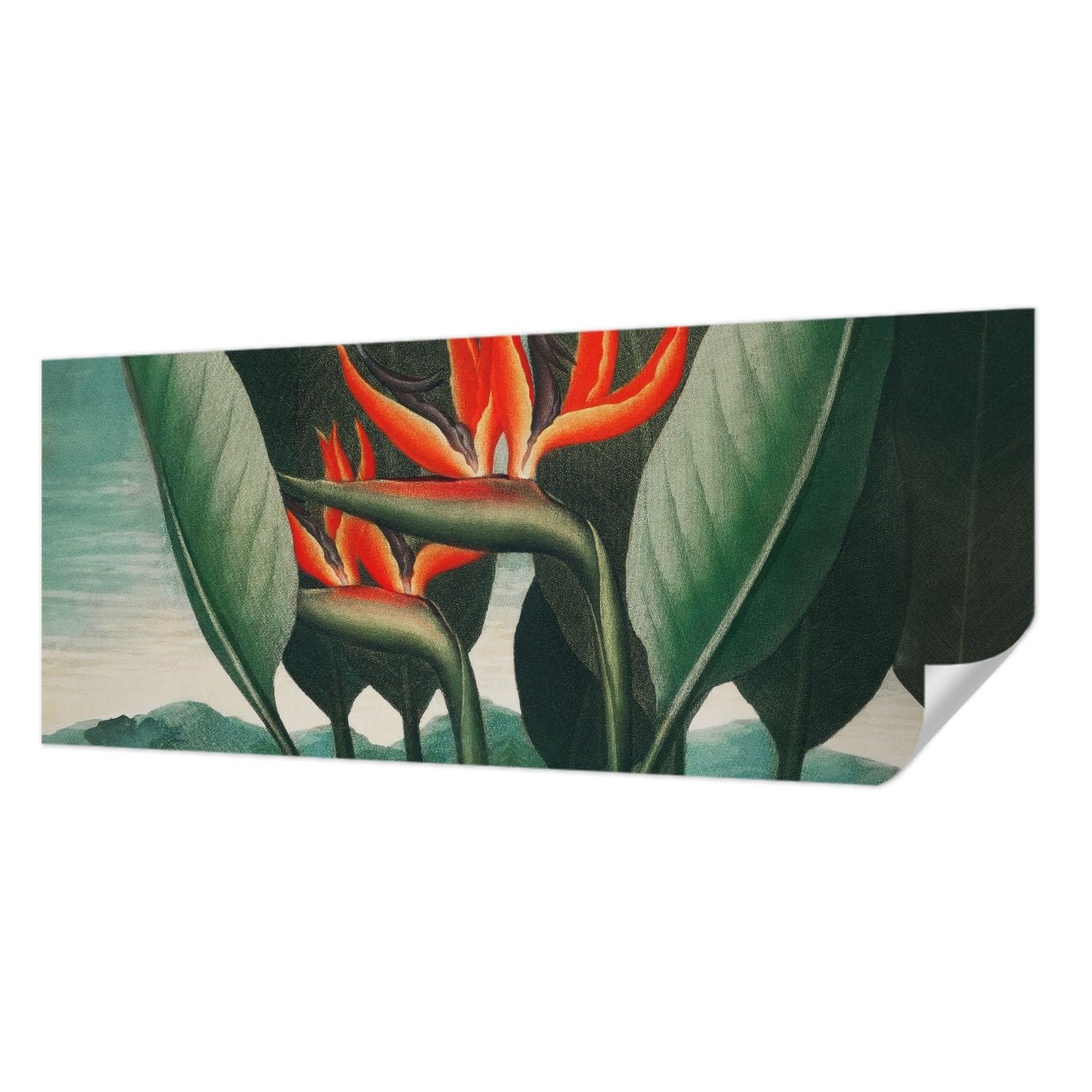 Papier peint autocollant 250x104 fleurs exotiques panoramique mural Tulup