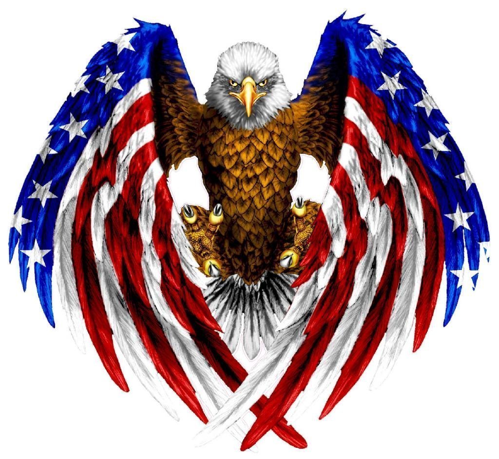 Bald Eagle American Flag Eagle Wings Decal ( 2 Pack ) is 5.5