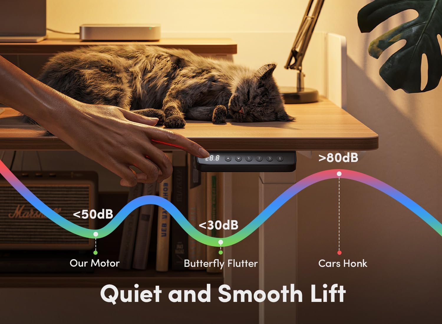 CubiCubi 55" Electric Standing Desk with Under Desk Shelves, Sit Stand Rising Computer Desk with Monitor Shelf, Home Office Desks with Hooks, Adjustable Height Stand Up Workstation Table, Light Walnut