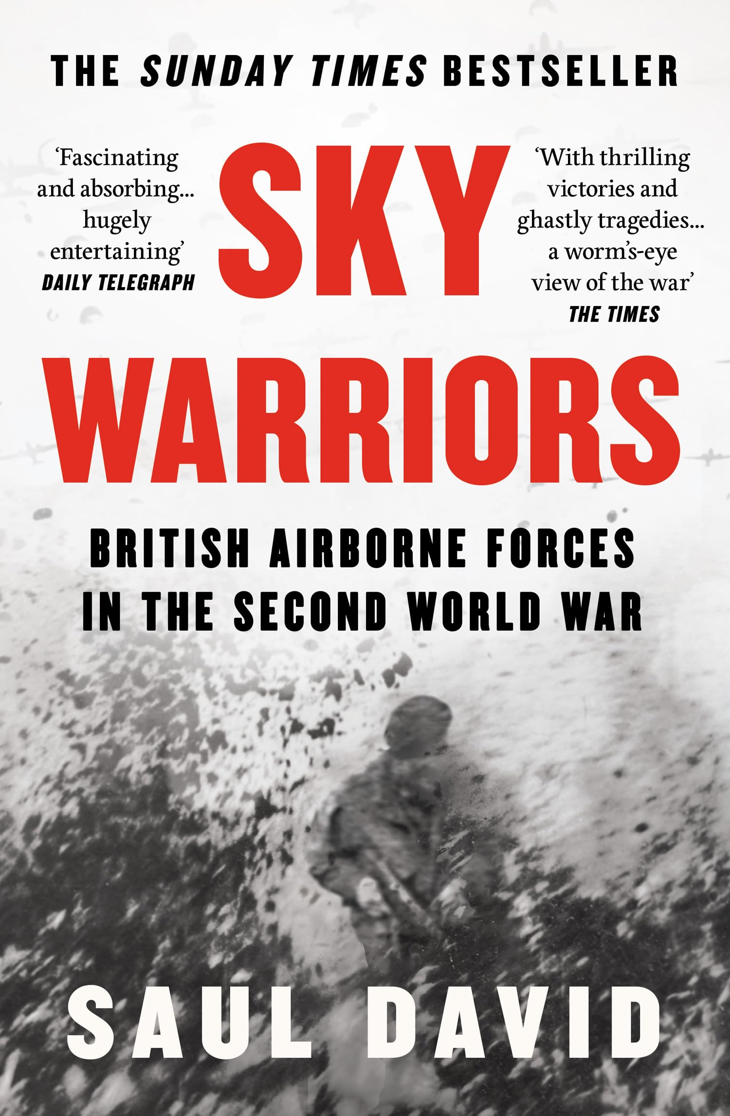 Sky Warriors: The Sunday Times Bestselling History of the... - David, Saul