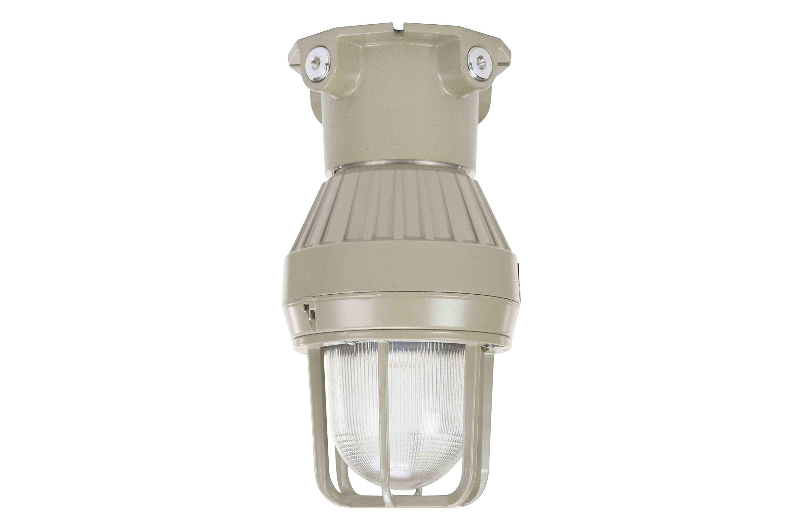 Larson Electronics 21 Watt Class 1 Division 1 LED Light - Vapor Proof and Explosion Proof - 120-277VAC - 9-32VDC - Ceiling Mount - 120-277V AC - 6000K