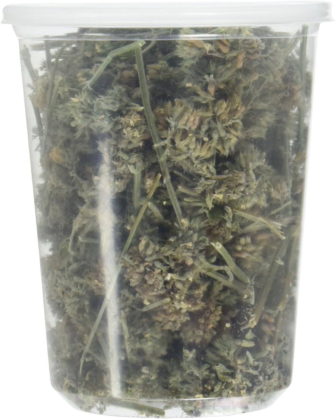 from The Field | Premium Whole Catnip Buds for Cats | Organic, USA-Grown, Fresh & Potent | Natural, Eco-Friendly Cat Treat for Play & Relaxation | Catnip for Indoor Cats | Resealable 1 OZ Tub
