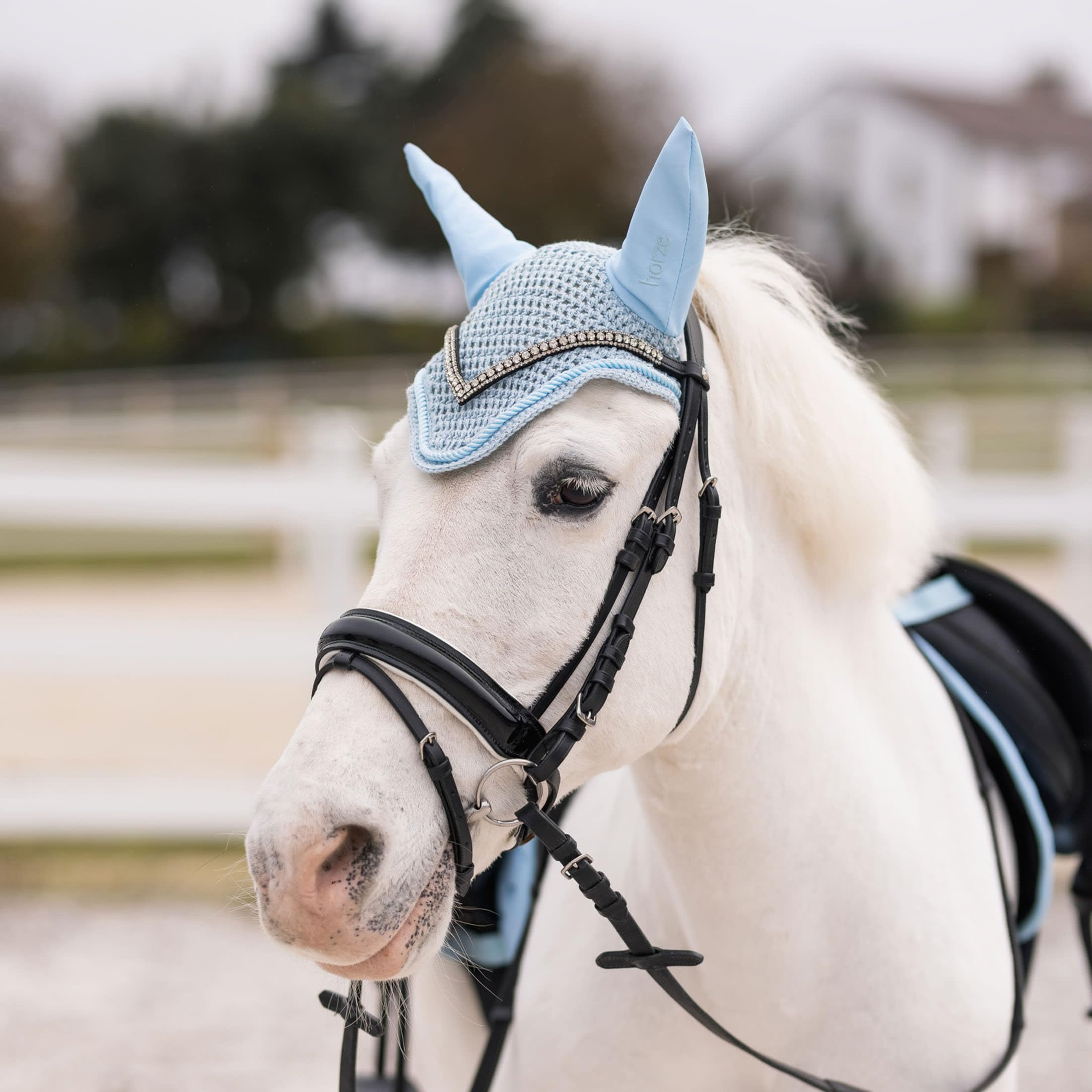 HORZE Rising Star Pony Ear Net - Insignia Blue - Pony