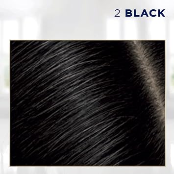 Clairol Nice'n Easy Permanent Hair Dye, 2 Black Hair Color, Root Touch-Up Kit with Brush, 2 Packs