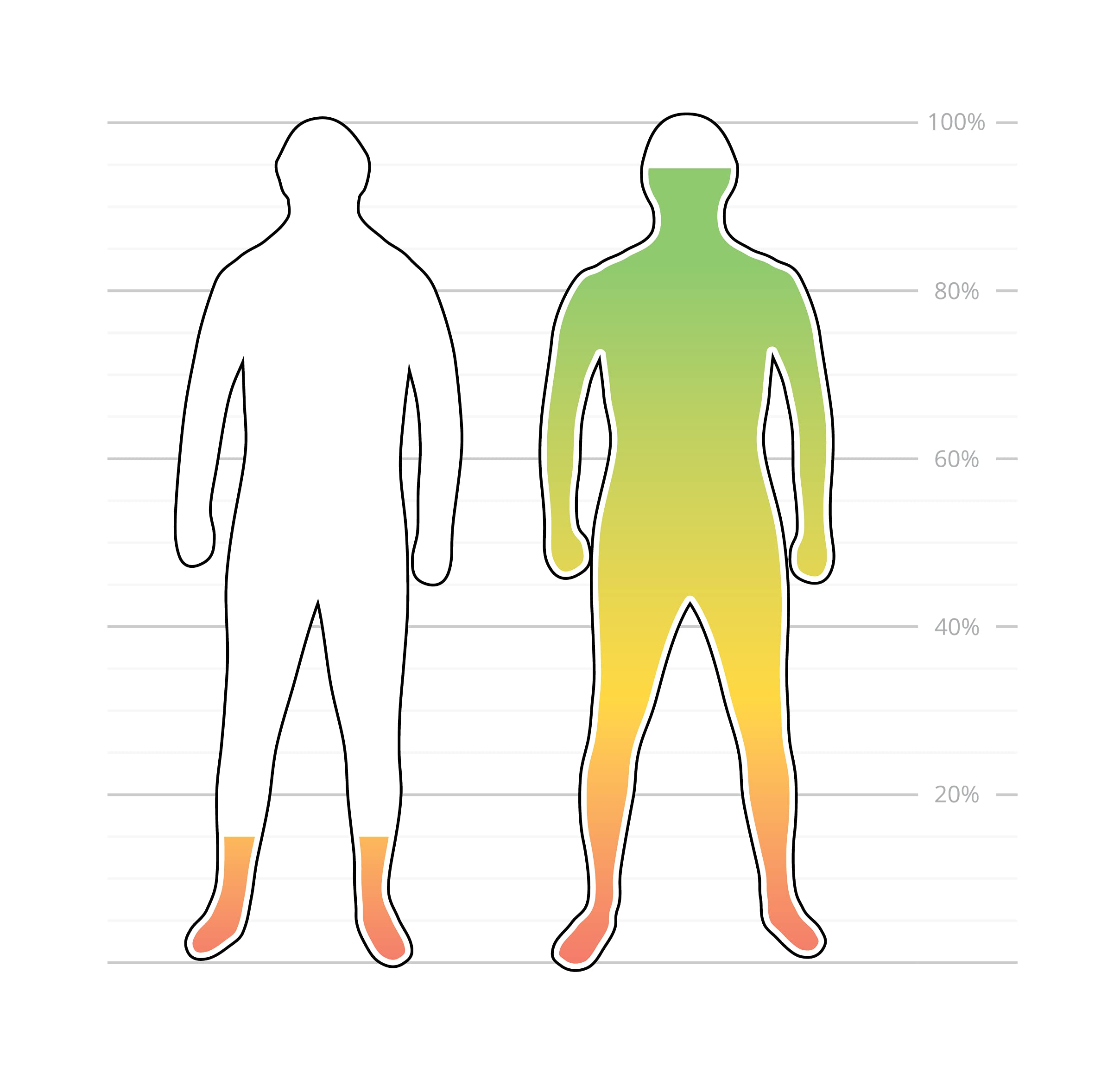 Liposomales MSM + Boswellia | 60 pflanzliche Kapseln | Maximale Bioverfügbarkeit | Lange Haltbarkeit | gentechnikfrei und vegan | von Nature Power