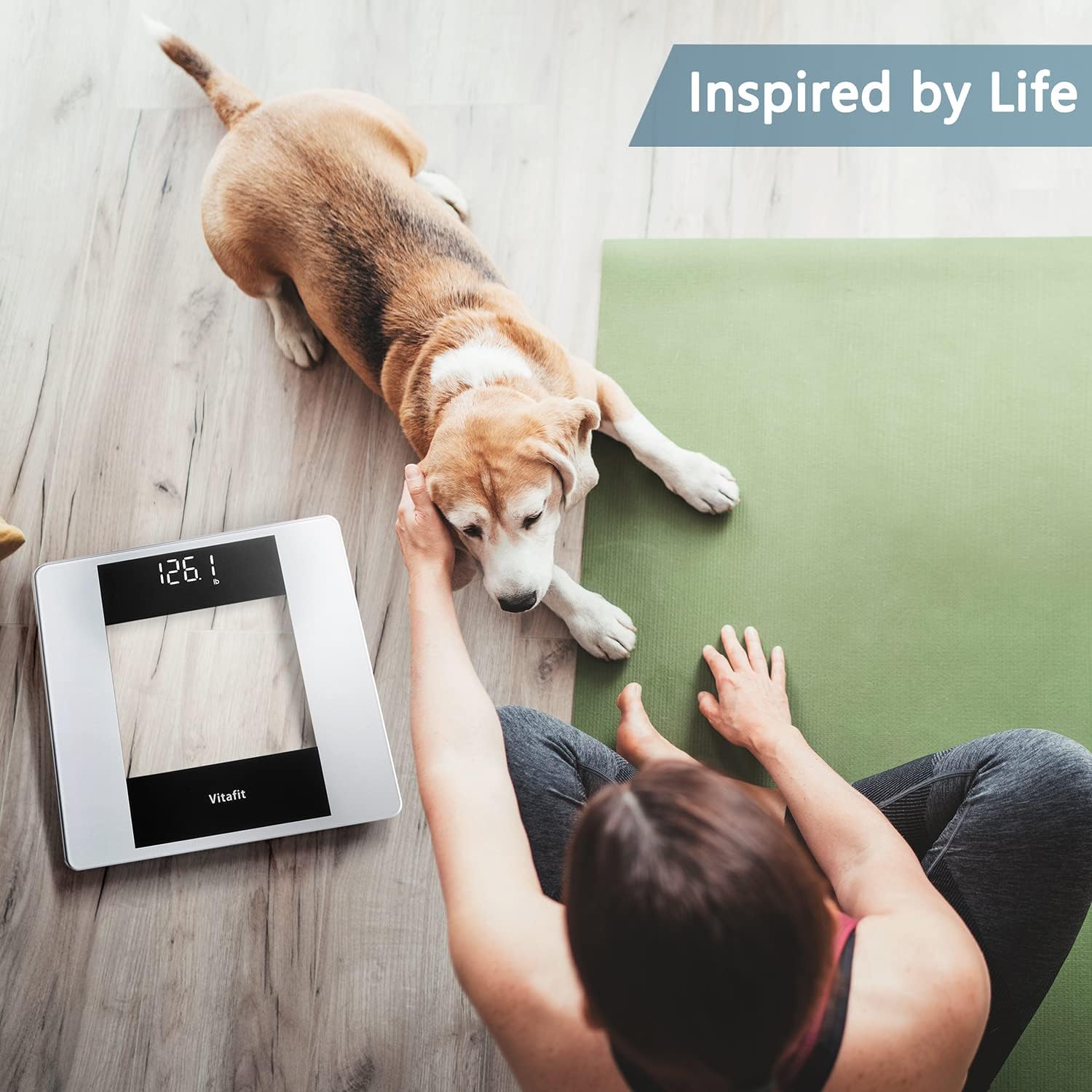 Vitafit Digital Bathroom Scale for Body Weight, High Accuracy Assured by Weight Scale Professional Factory Since 2001, White LED and Step-On, 3*AAA Batteries Included, 400lb, Silver - Image 5