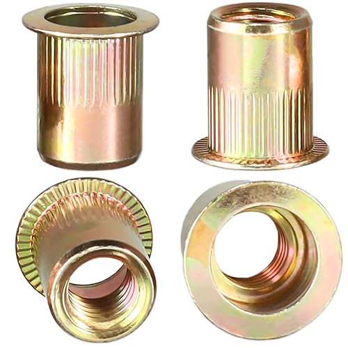 DICASAL - Juego de tuercas de remache, 60 piezas M10 métricas de cabeza plana roscada, kit de tuercas remachables de acero al carbono chapado en