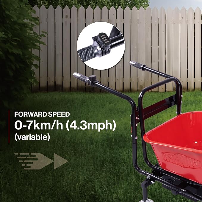 Carretilla eléctrica para construcción 330 lb capacidad miniatura 5