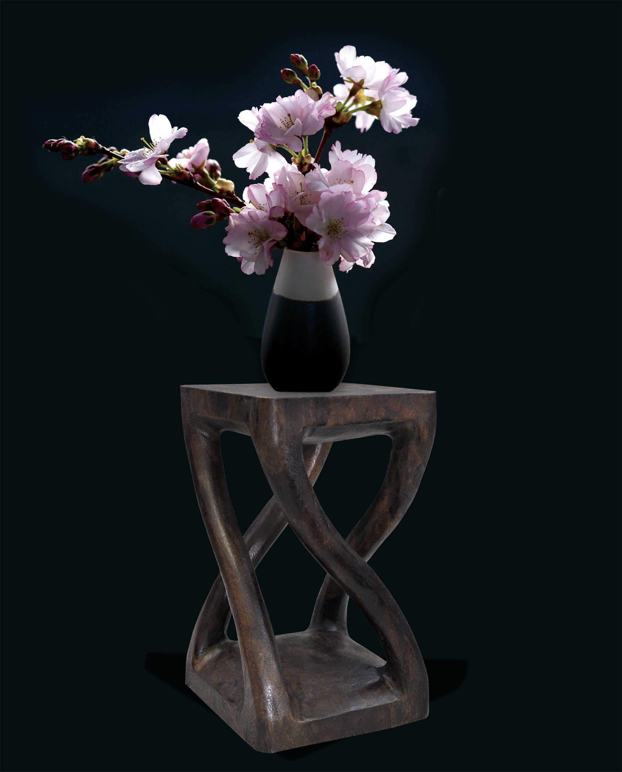 Petite Table de Salon en Bois Massif, décoration Artisanale fabriquée Main à partir d’Un Seul Morceau, guéridon, Porte Lampe ou Plante (13407)