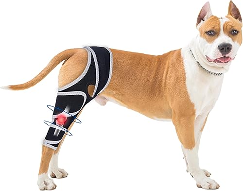 Rodillera para perro para pierna trasera desgarrada, protege las articulaciones del perro, soporte de soporte ajustable para la pierna delantera y