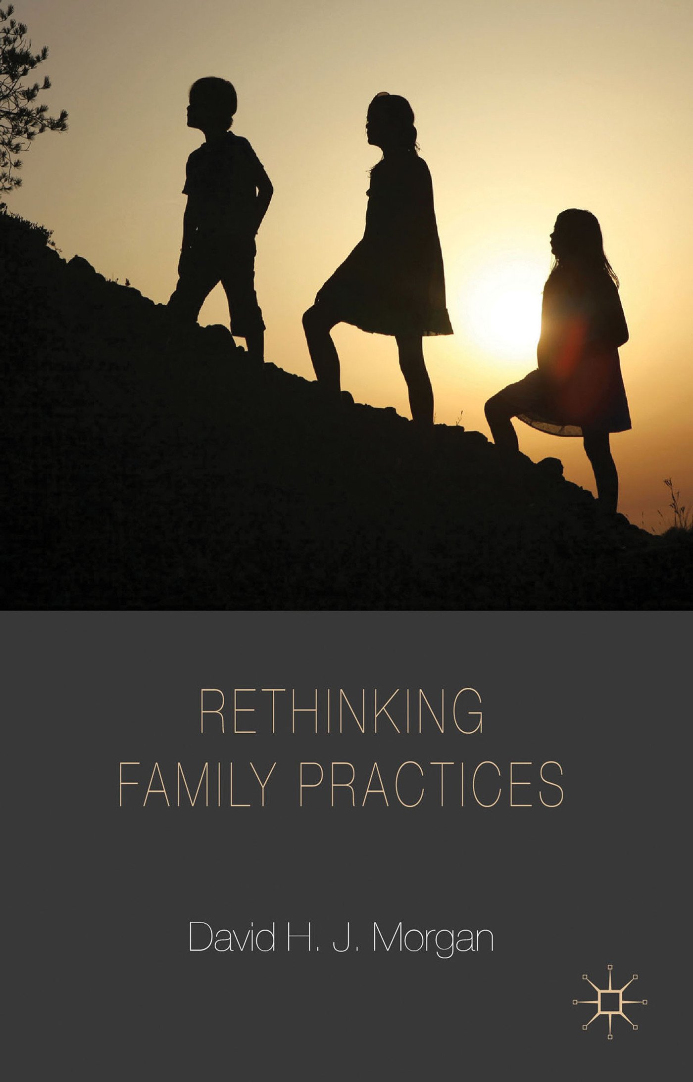 Rethinking Family Practices (Palgrave Macmillan Studies in Family and Intimate Life)