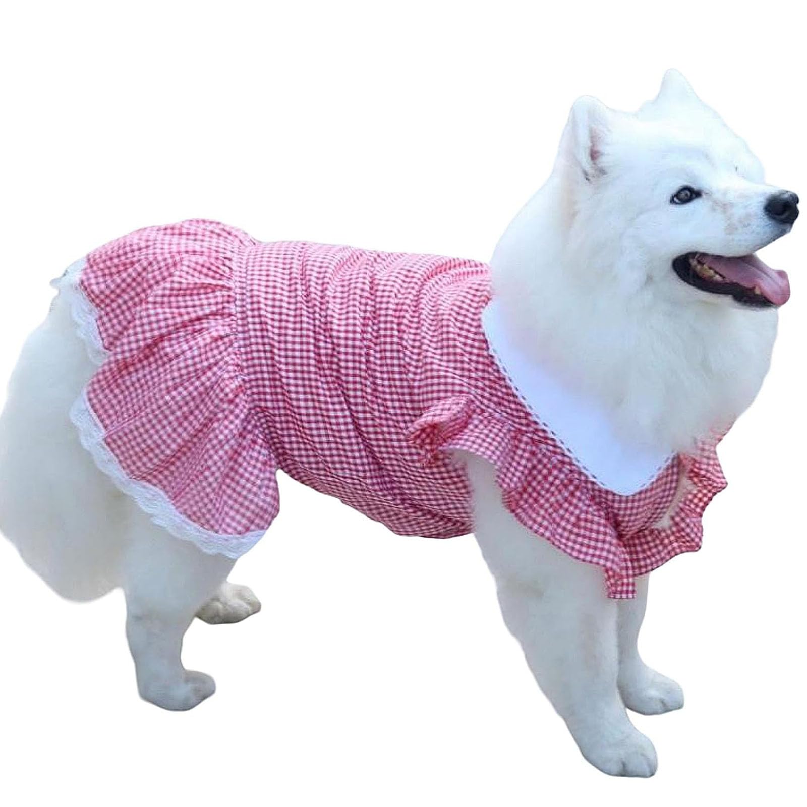 Robe en dentelle grand chien rouge L le cadeau d'anniversaire idéal