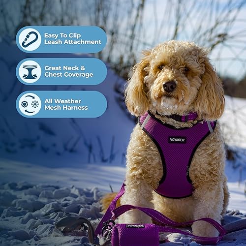 Vista 25 de Best Pet Supplies Voyager Step-in Air - Arnés de malla para todo tipo de clima, reflectante, antitirones, para perro y gato pequeño y mediano, Arnés