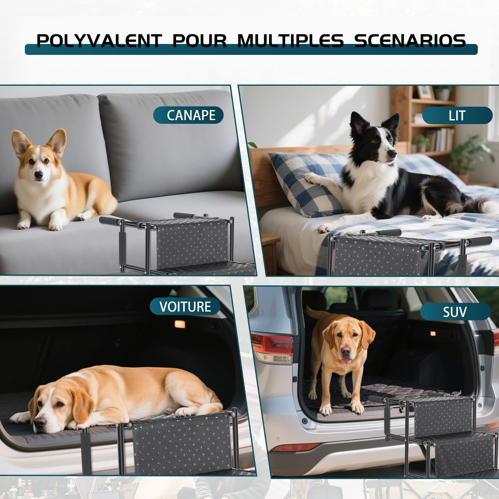 OUUTMEE Escalier pour Chien à 5 marches, Rampe Pliable avec Surface antidérapante, escalier pour Chiens Petits et Grands jusqu'à 80 kg, pour Voitures et SUV