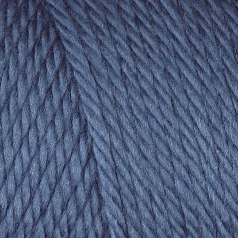 Bulk Buy: Caron Simply Soft Yarn Solids (2-Pack) (Country Blue)