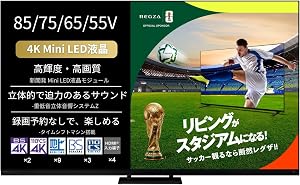 REGZA Z875R（55V型 Mini LED液晶・4K）