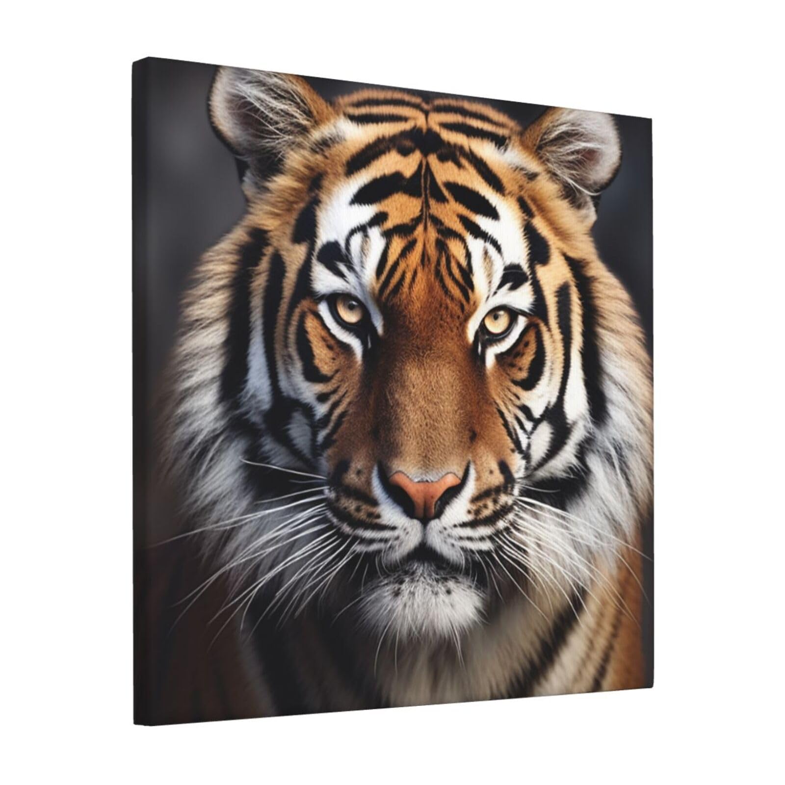 KLOPH Tiger Canvas Wall Art for Living Room 12"x12" Modern Artwork Painting for Bathroom Hanging Canvas Prints Aesthetic Wallart for Bedroom Kitchen Office Wall Decor