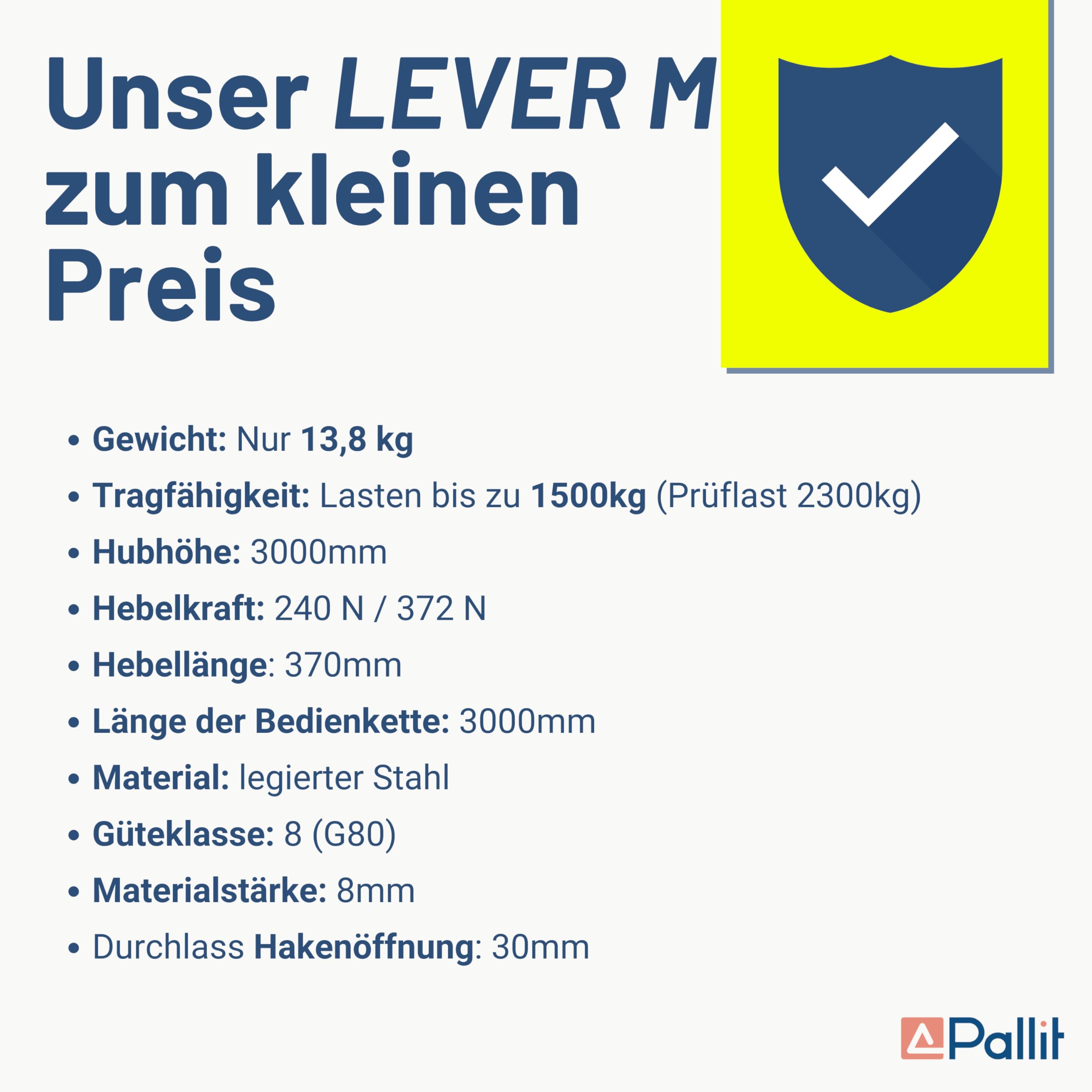 Pallit Kettenzug 1500 kg Ratschenzug 3 m Kettenlänge mechanischer Lastbremse CE-zertifiziert
