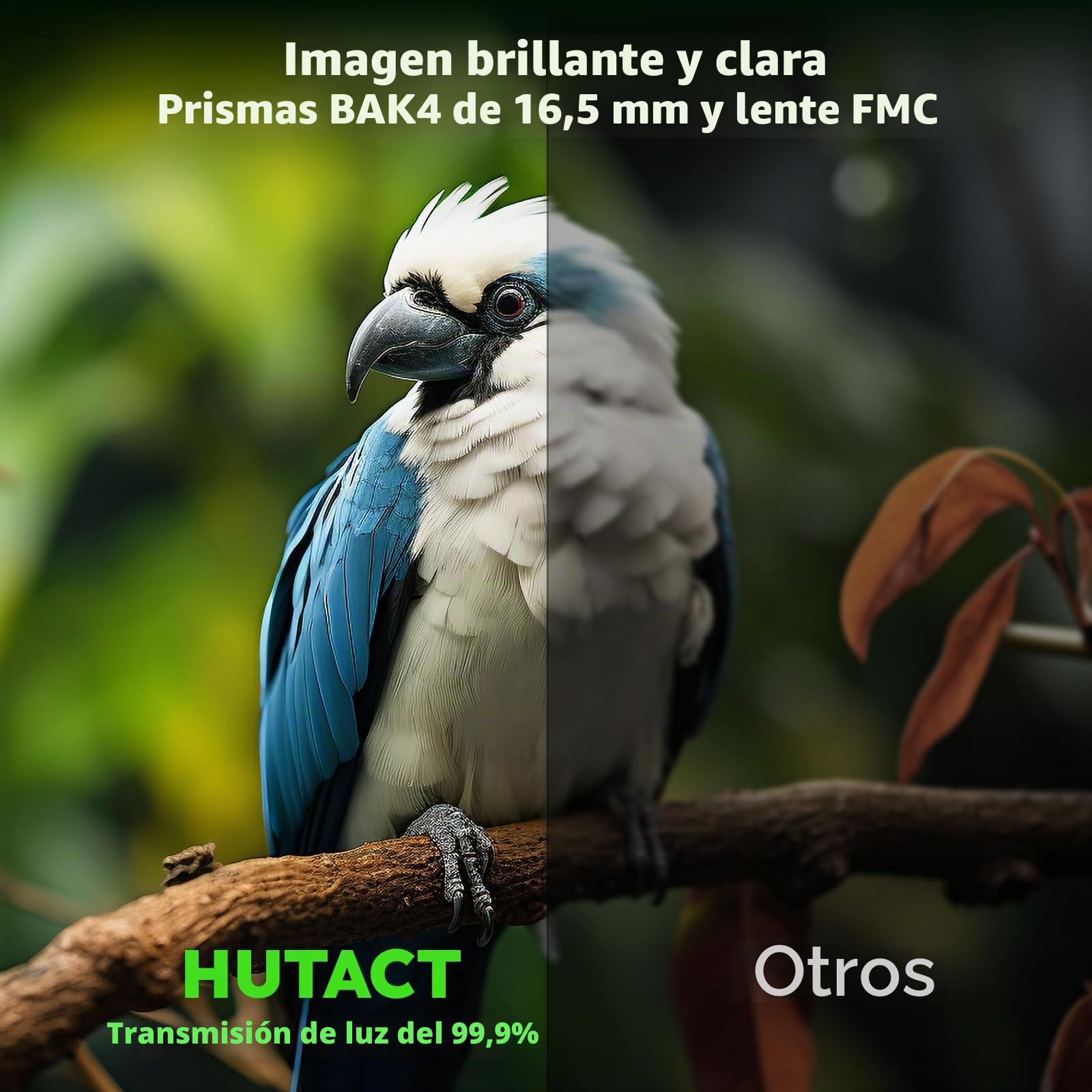 Prismaticos Profesionales Largo Alcance, Prismáticos 10x42 Lentes Completamente Cubiertos con Multicapa FMC para Conciertos, Teatro, ópera, para Viajeo, Observación de pájaros