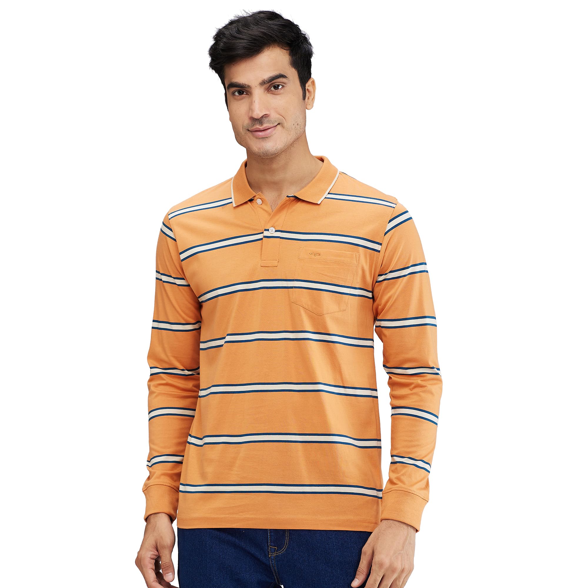 colorplus Men's Regular Fit Stripe Pattern Pure Cotton Polo Neck Full Sleeve Casual T-Shirt-picture-23