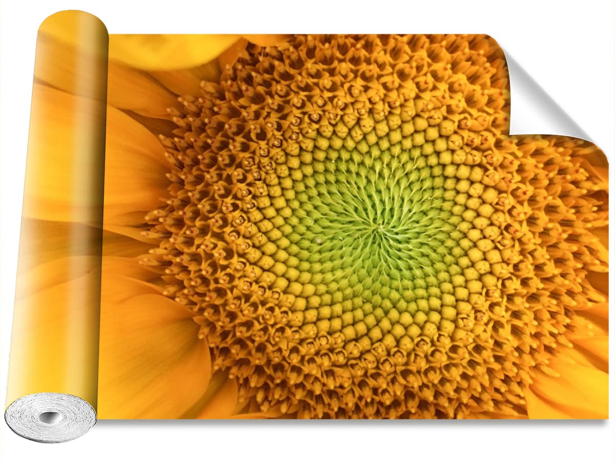 Stickers Muraux Tournesol Tulup pour Rénover un Mur Abîmé sans Peinture 250x104