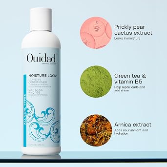 Ouidad Moisture Lock Leave-In Conditioner 2-in-1 Hydrating Conditioner & Primer for Nourished, Defined Curls, Prevents Frizz, Promotes Shine, Adds Slip For Detangling, Sulfate-Free, All Curl Types