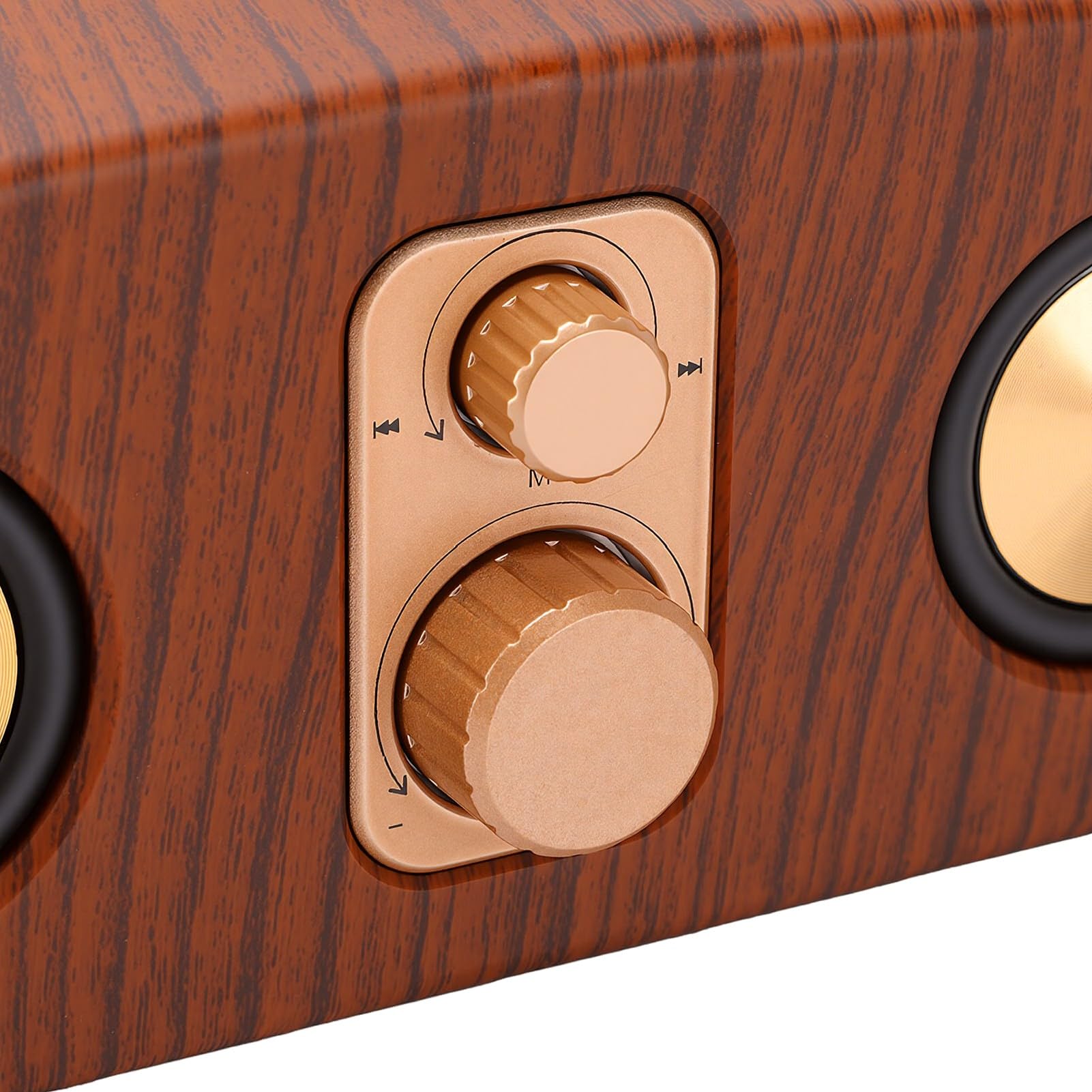 Asixxsix Altoparlante Bluetooth retrò, Finitura in Legno | Suono Forte da 120 DB, Riproduzione Intelligente, Batteria Ricaricabile da 2400 MAh, Supporto Scheda TF AUX USB Lettore MP3