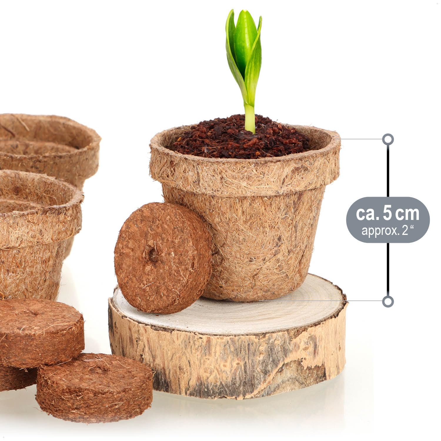 HaGa® - 5 Dischi Pacciamanti In Fibra Di Cocco Per Piante In Vaso - Protezione Antigelo E Biodegradabile - Ø60cm - 6