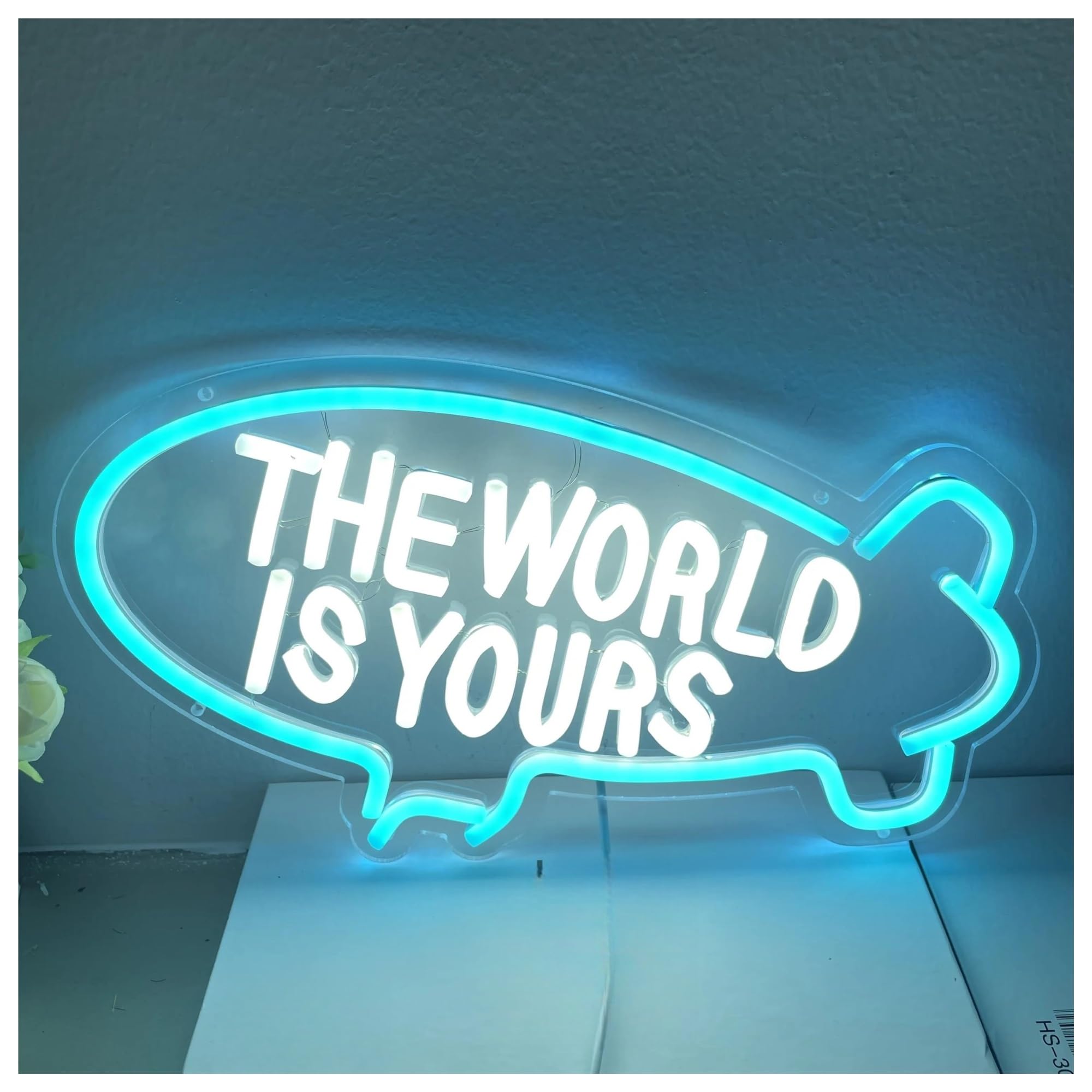 SHOUXI Sign Lamp The World is Yours Neon Sign USB Dimmer for Girls Kids Bedroom Bar Beer Club Shop Wall Art Hanging Decor 42cmх23cm(D)