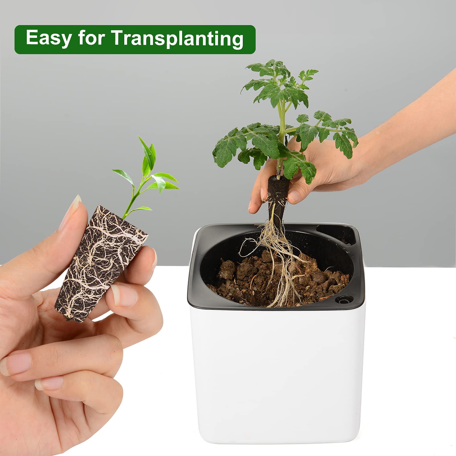 Buy Yoocaa Seed Pods Kit for Hydroponics Growing System, Seed Starter Pods with 24pcs Grow