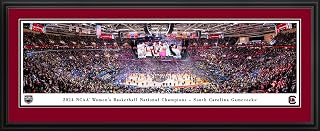 2024 NCAA Women's Basketball National Champions, South Carolina - Double Mat, Deluxe Framed Picture by Blakeway Panoramas (44"W x 18"H)