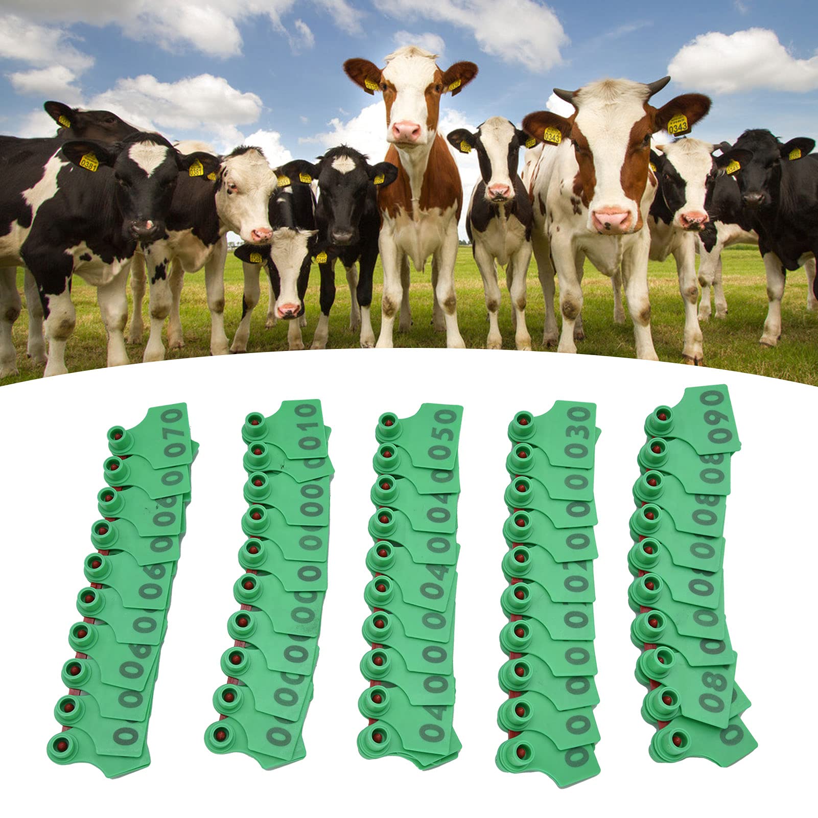 Lot De 100 étiquettes D’oreille Vierges Pour Bétail – En Plastique Jaune, Avec Boucle En Cuivre - 9