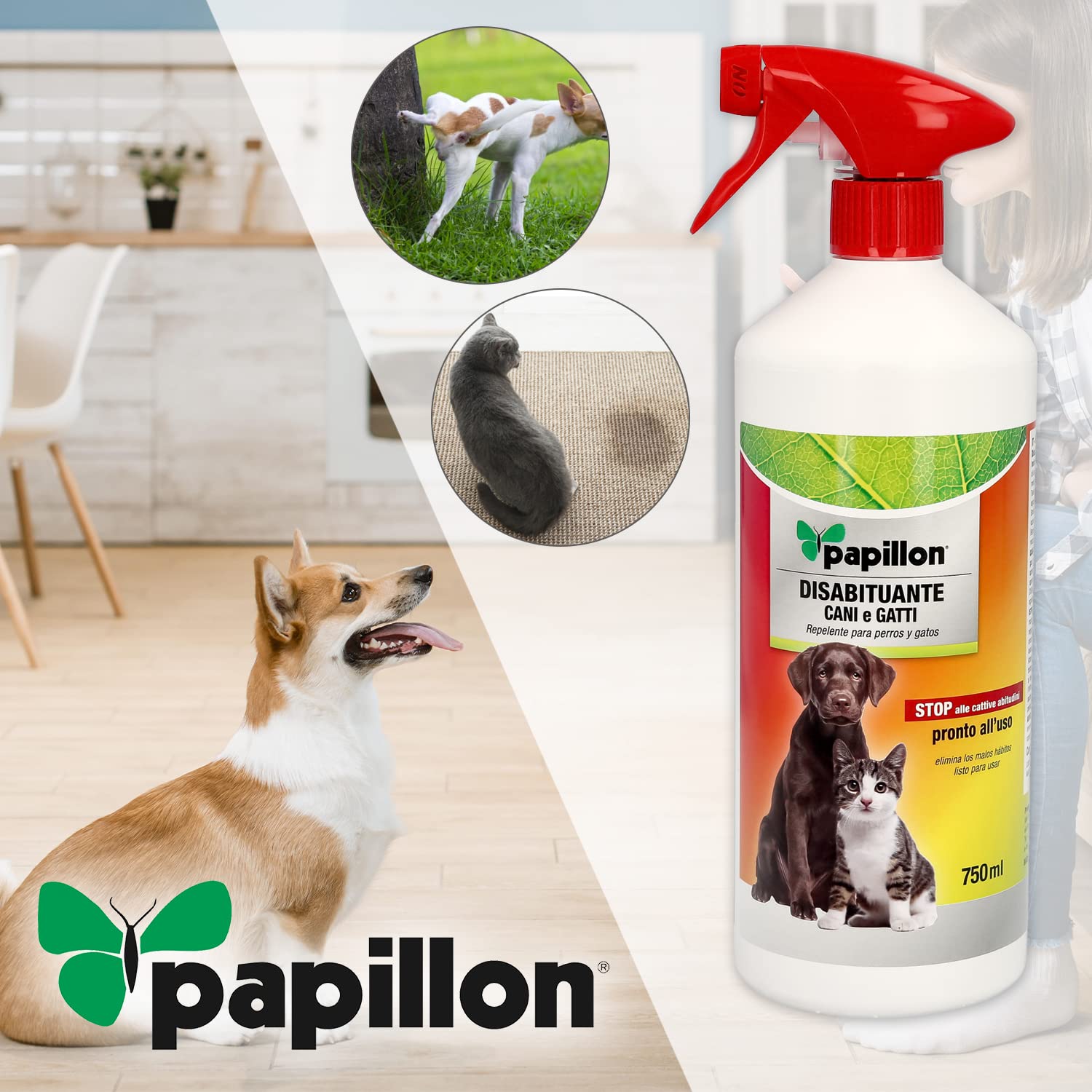 PAPILLON Repelente Orina Perros y Gatos (750 ml.) Antiorines perros, repelente orina perros, repelente orina gatos,