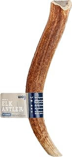 Wag Elk Antler Whole Dog Chew - X-Large 9.5-10.5in Long-Lasting for Aggressive Chewers, Dogs 45+ lbs