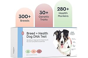 300+ Breed, 280+ Health Risk, Dog DNA Ancestry Test