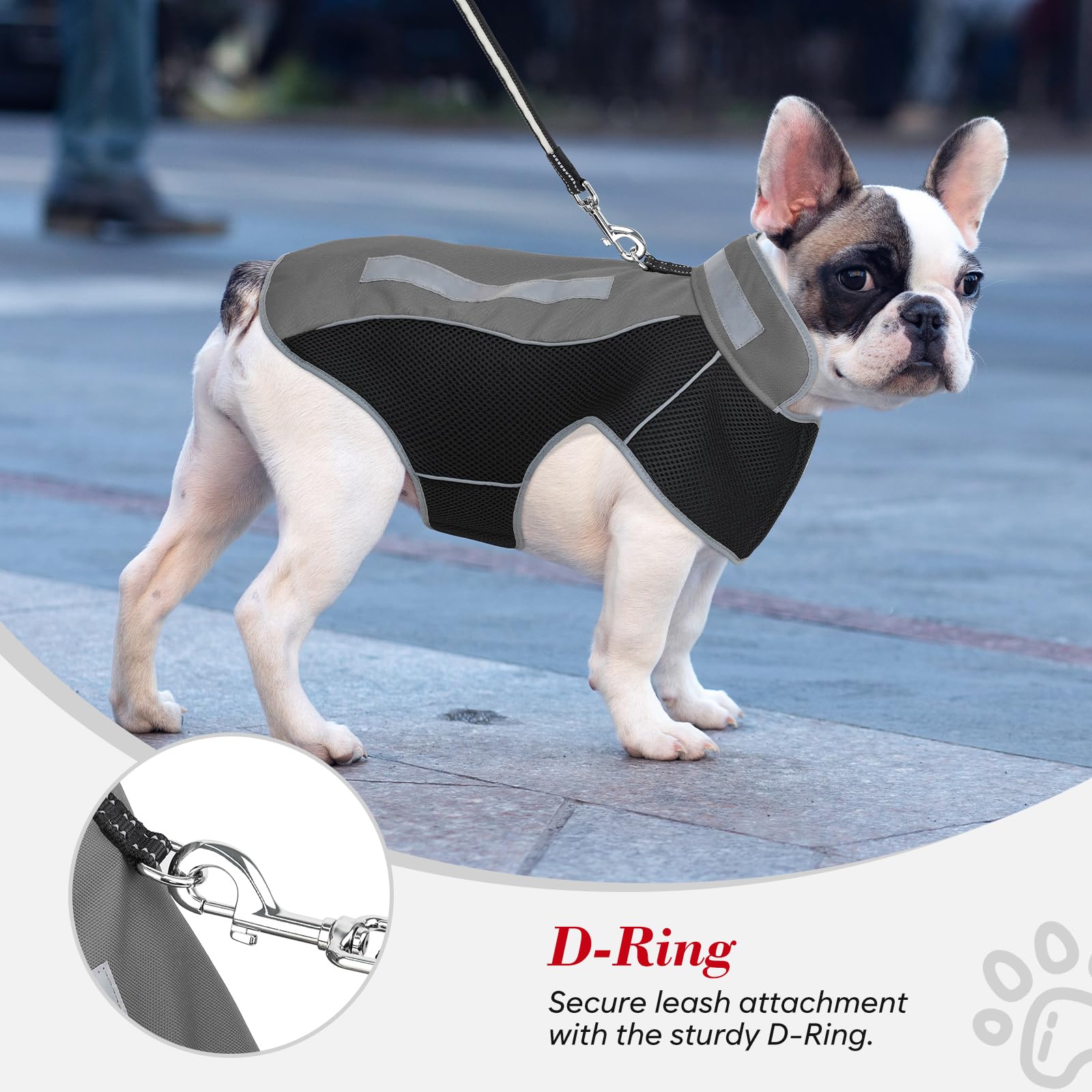 Kleine Hundejacke, warme Winter-Hundejacke, reflektierende Haustierjacke mit Fleece, Haustierkleidung für kleine, mittelgroße Hunde (Grau, M)