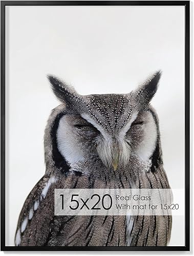 Miniatura 460 de Fun Memories Portarretratos de metal de 16 x 20 pulgadas con paspartú de 11 x 14 pulgadas, acabado de aluminio cepillado, parte delantera de vidrio