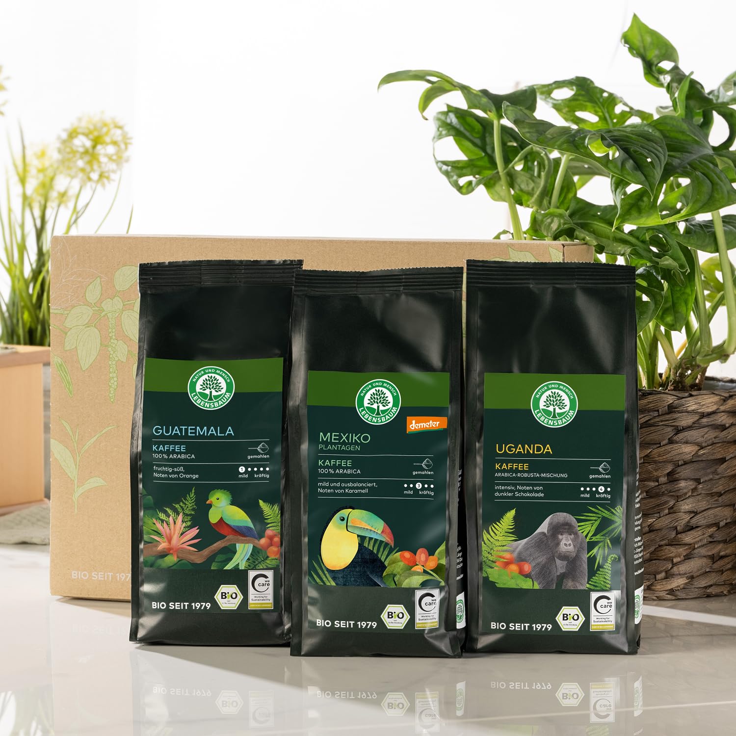LEBENSBAUM Bio Kaffee Geschenkset Herkunftskaffee gemahlen 3 x 250 g Uganda Guatemala Mexiko