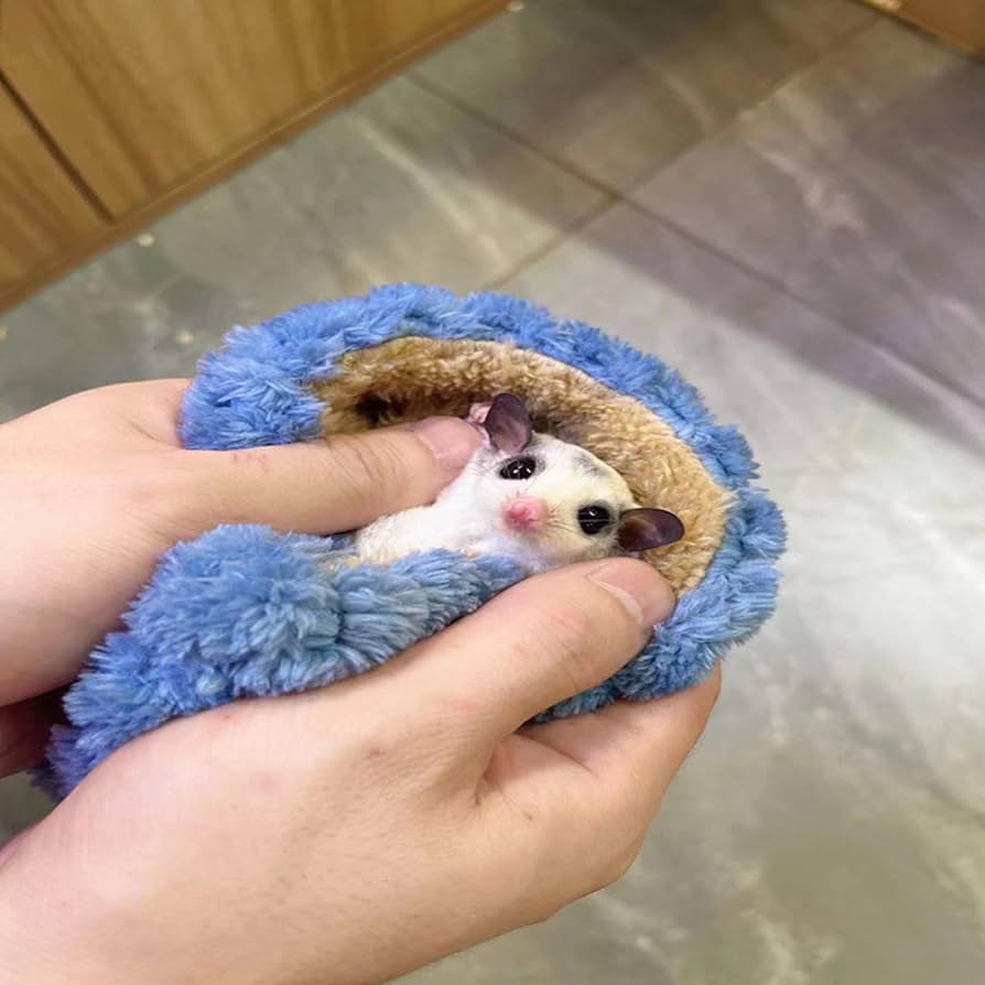 フクロモモンガ用寝袋 Amazon.co.jp: ハムスター用寝袋 - 暖かいフクロモモンガの